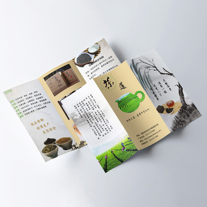 Awesome Creative Graphic Design Trifold Brochure B05.jpg